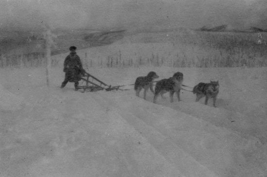 Travelling by Dog Sled, c1921.