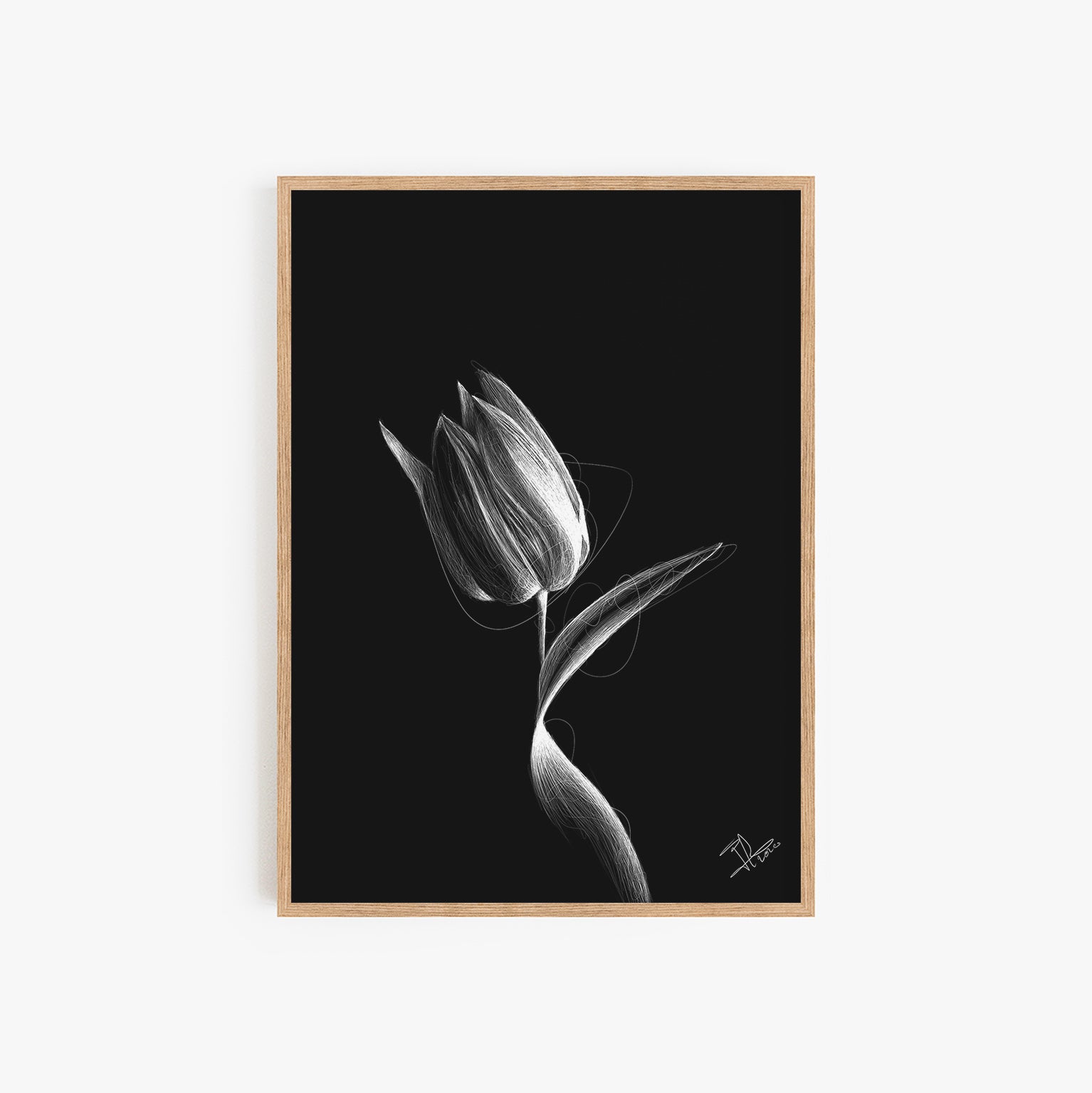 TULIP