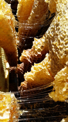 honey comb with honey