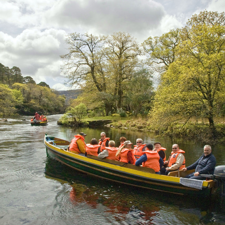 kerry day tours