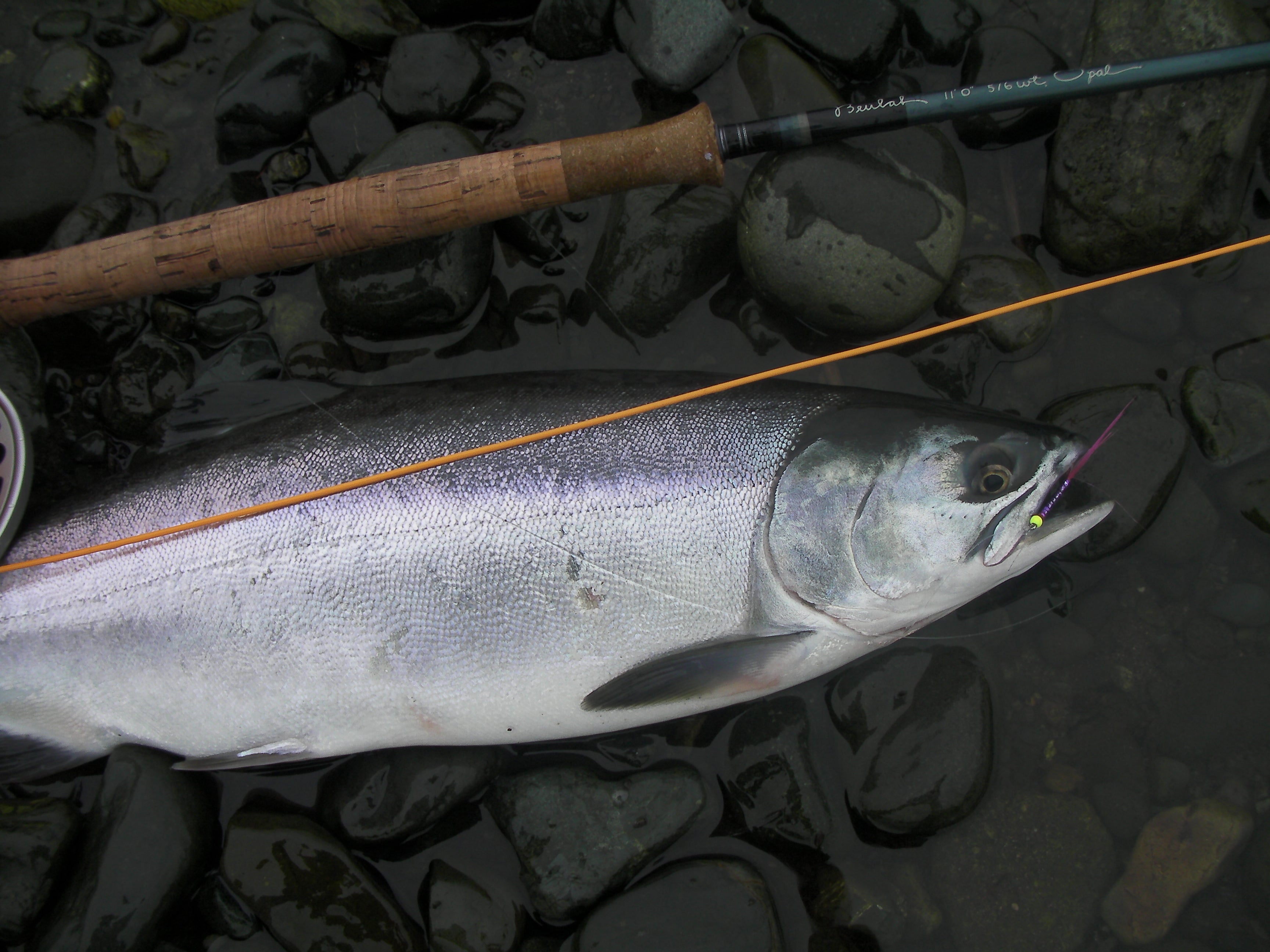 Best Fishing Rods: Editors' Choice Awards - Fish Alaska Magazine