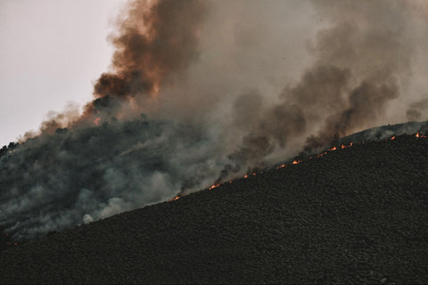 Wildfire in Cali