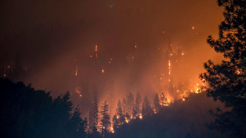 Wildfire in California