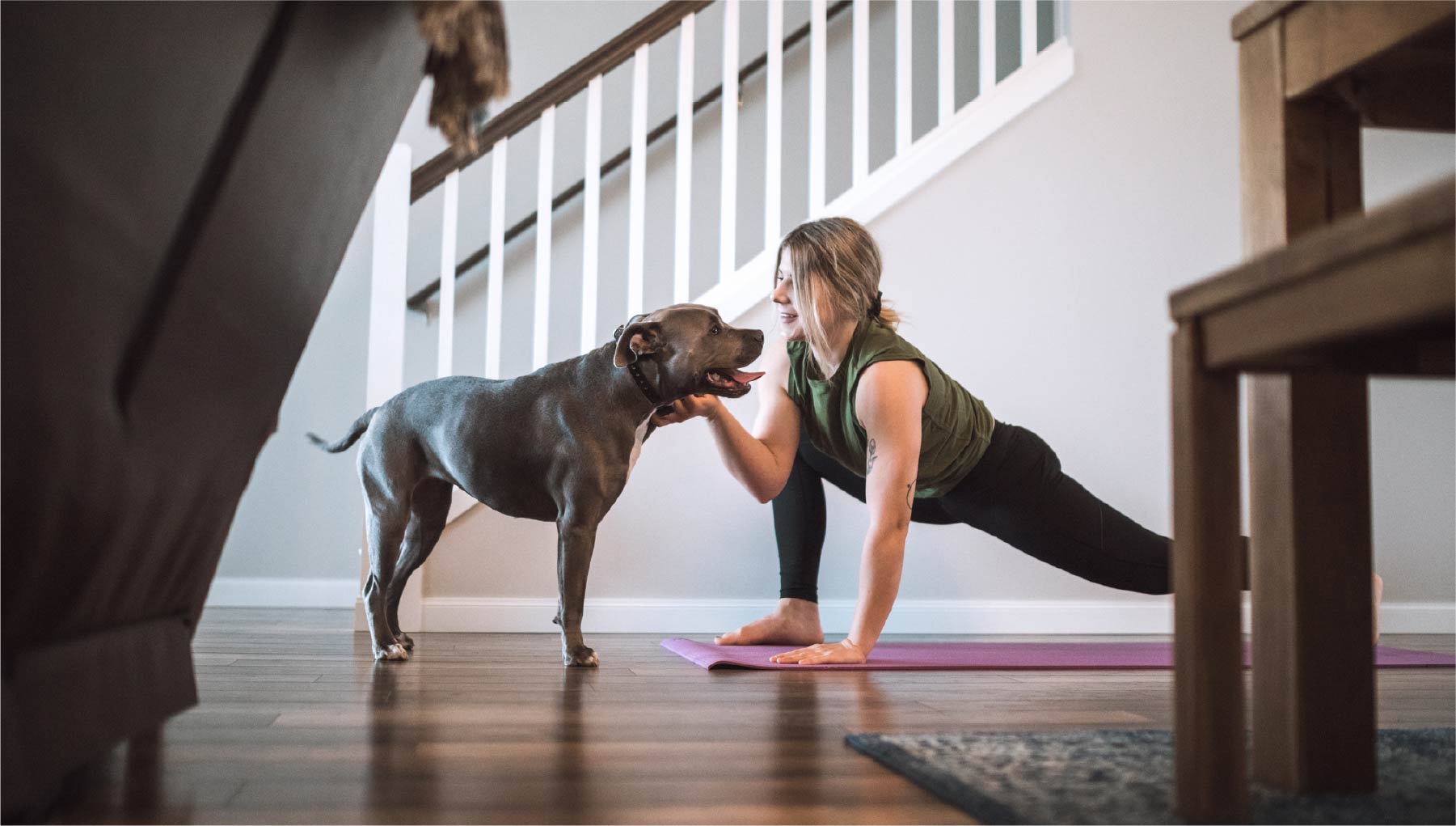 How to Keep Carpet Clean with Pets