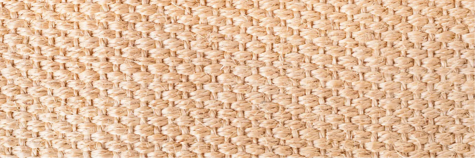 Types 2024 of carpet