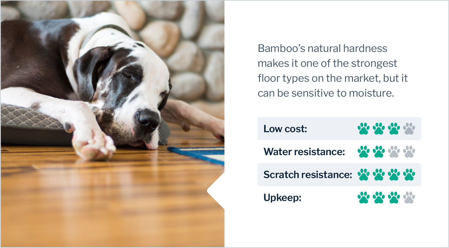 dog-friendly-bamboo