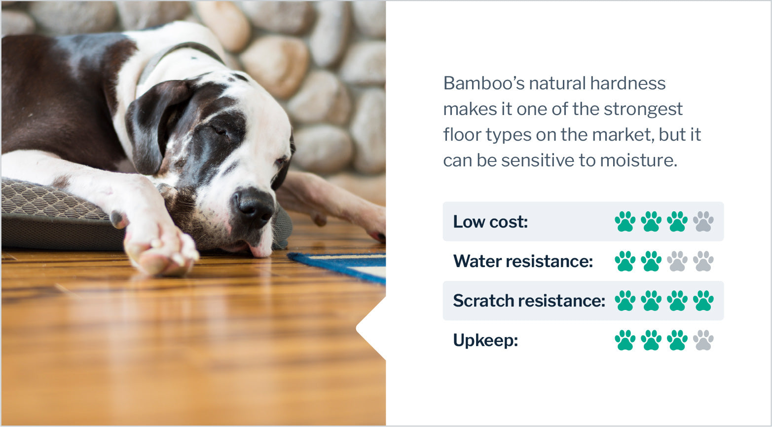 Pet friendly flooring options including durable and skid-resistant