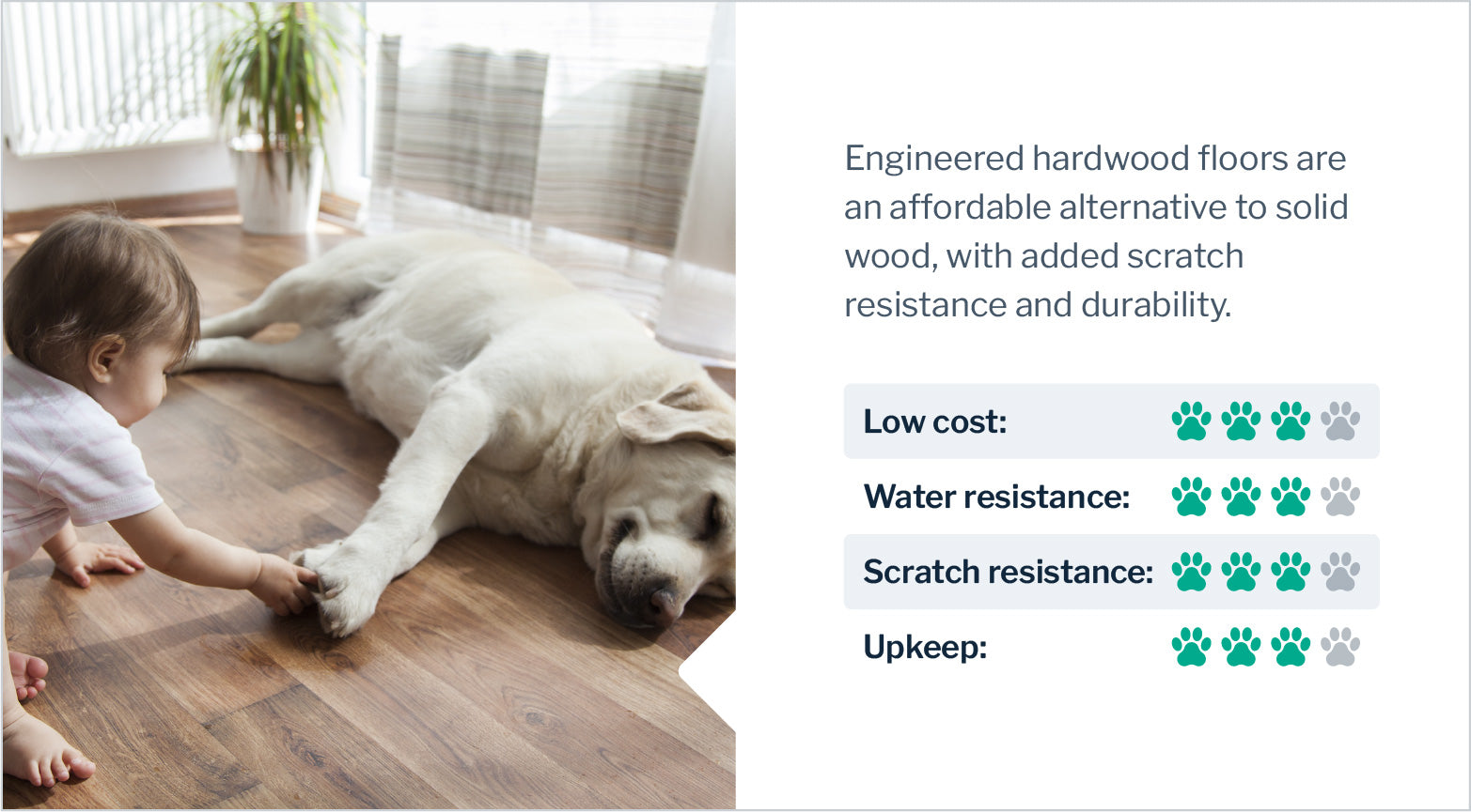 Pet-Friendly Flooring Buying Guide