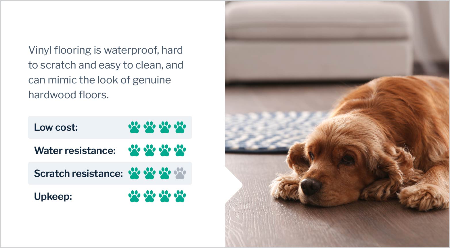 Pet-Friendly Flooring Buying Guide