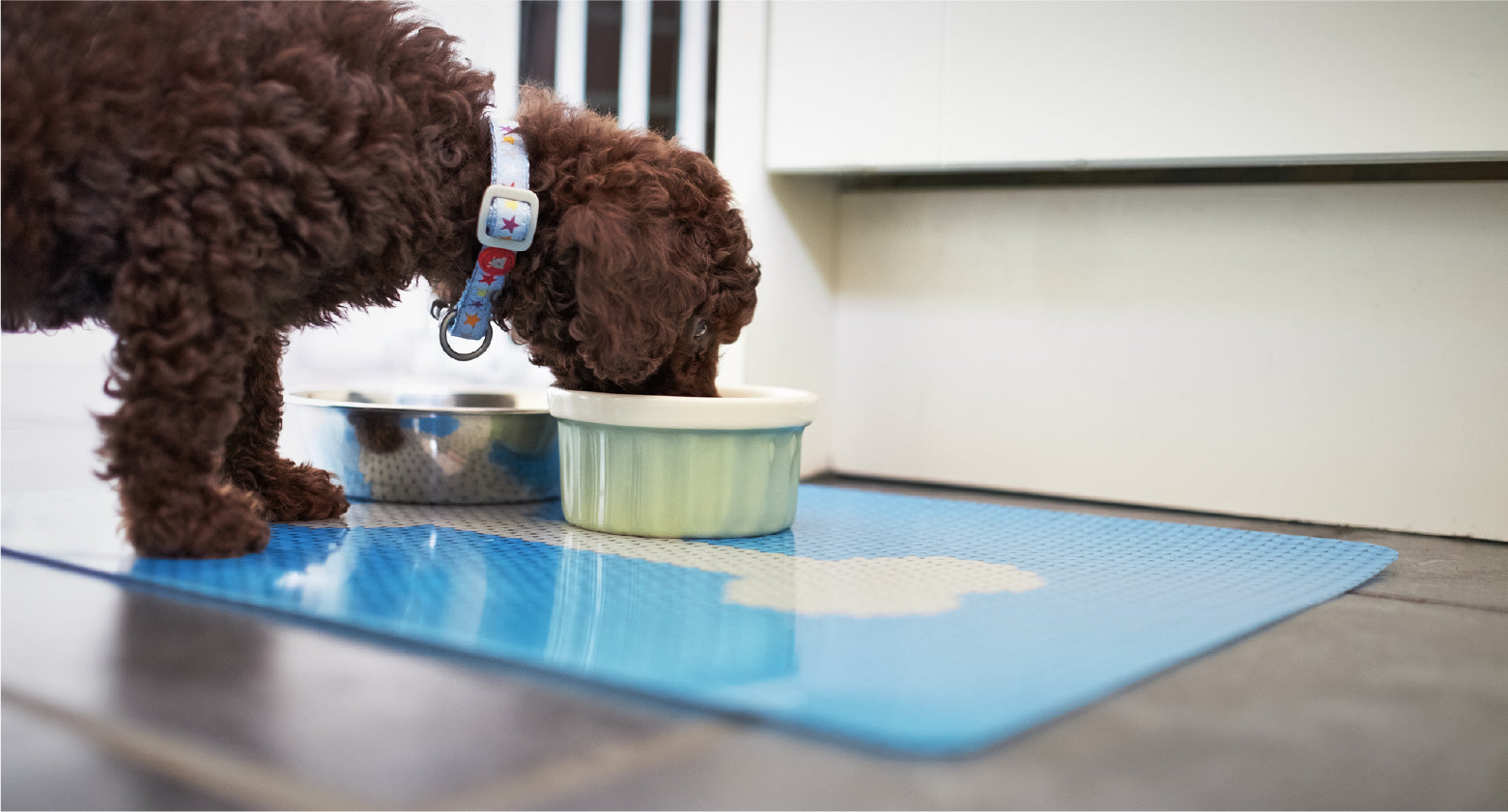 Dog Food Mat - Dog Bowl Mat for Dog Pet Food Mat - Dog Mat for Food and Water - Dog Feeding Mat - Protect Your Floor with A Dog Water Bowl Mat 
