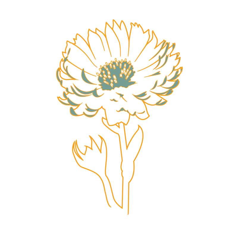 Calendula