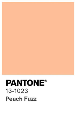 Pantone Farbe 2024 Peach Fuzz