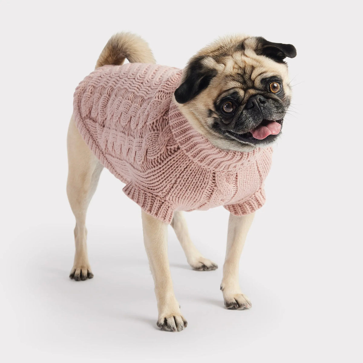 Knitting for Pets: 22 Knit Dog Sweaters