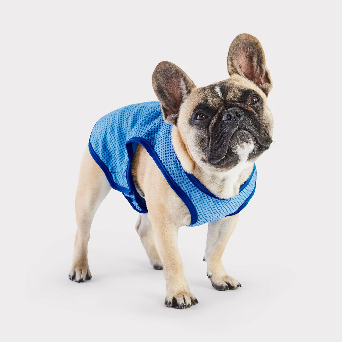 how to make a cooling bandana for dogs