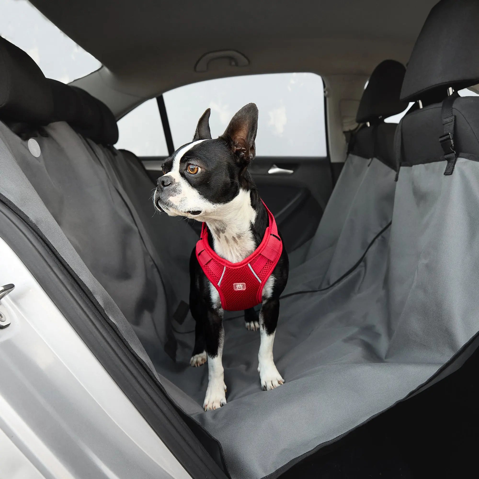 Meadowlark Dog Seat Cover with Mesh Window (Standard)