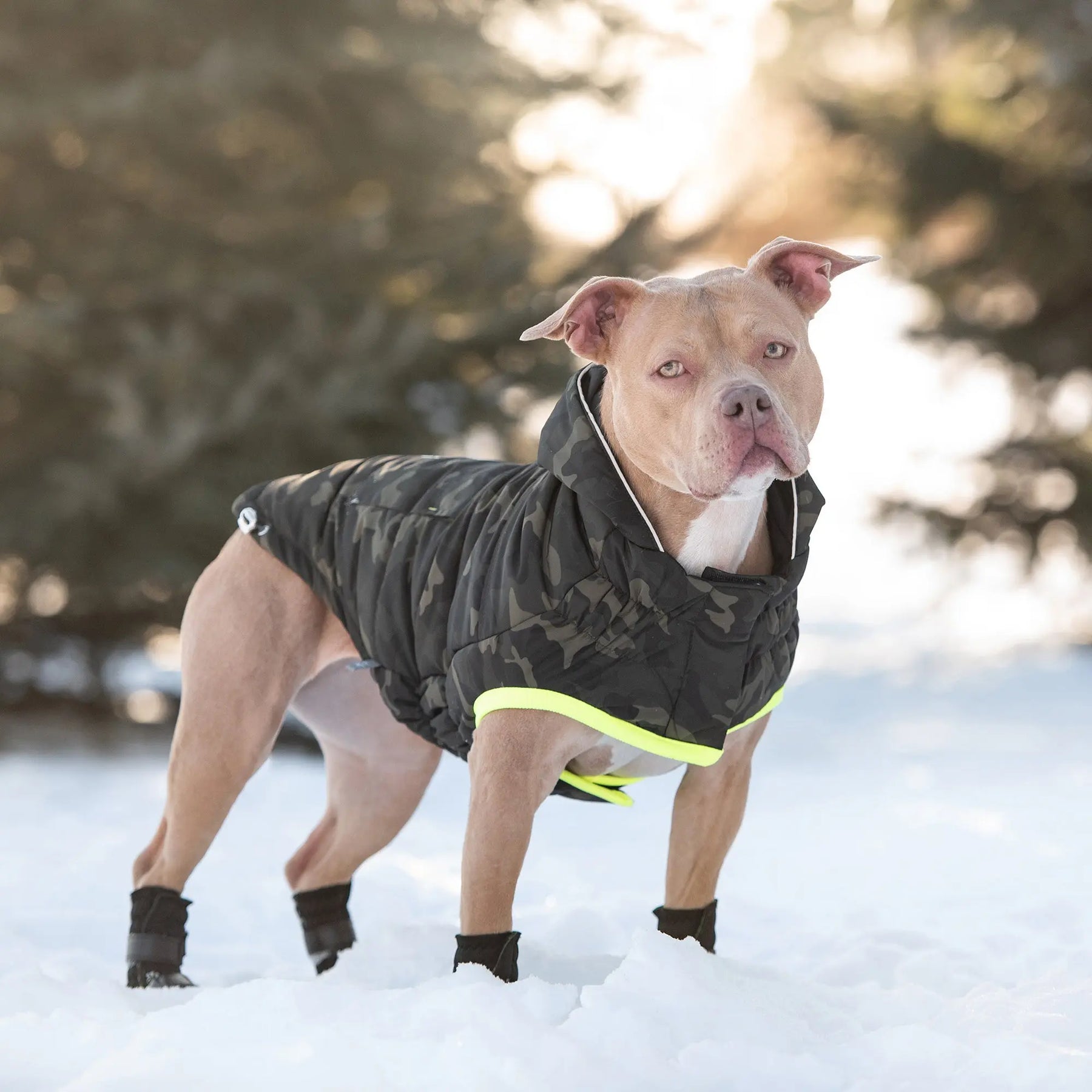 animal camo jacket