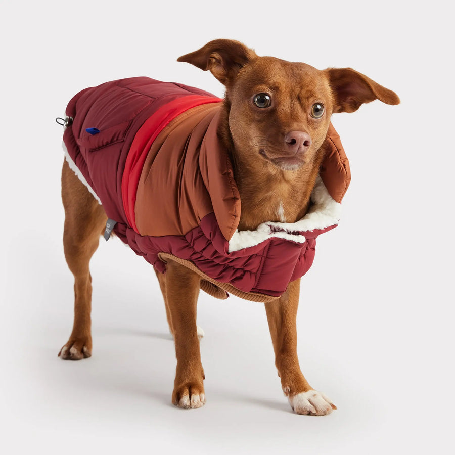 GF PET® Official Online Store — Dog Clothes & Accessories