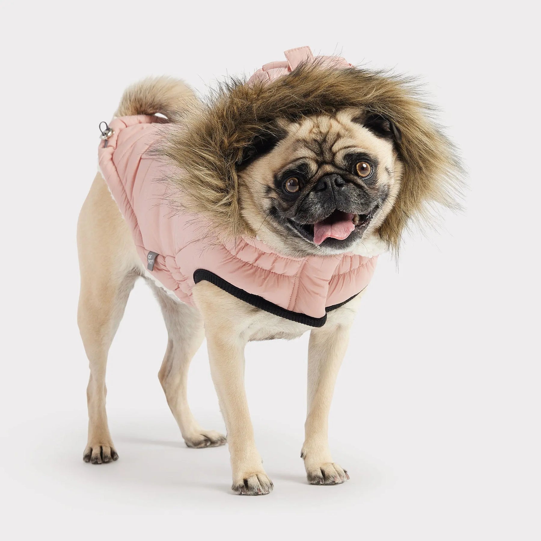 pink dog parka