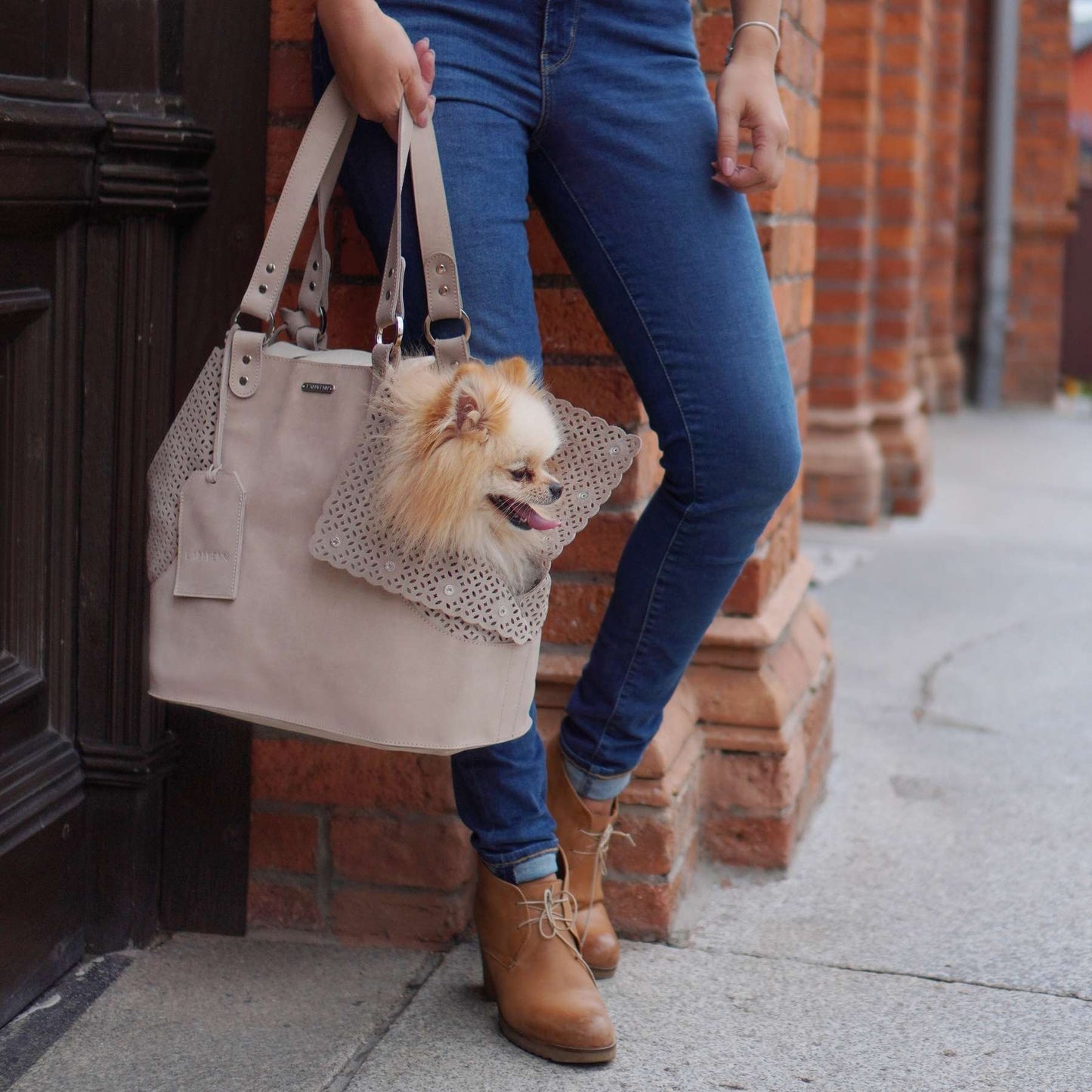 Hundetragetasche für Pomeranian Zwergspitz aus Leder