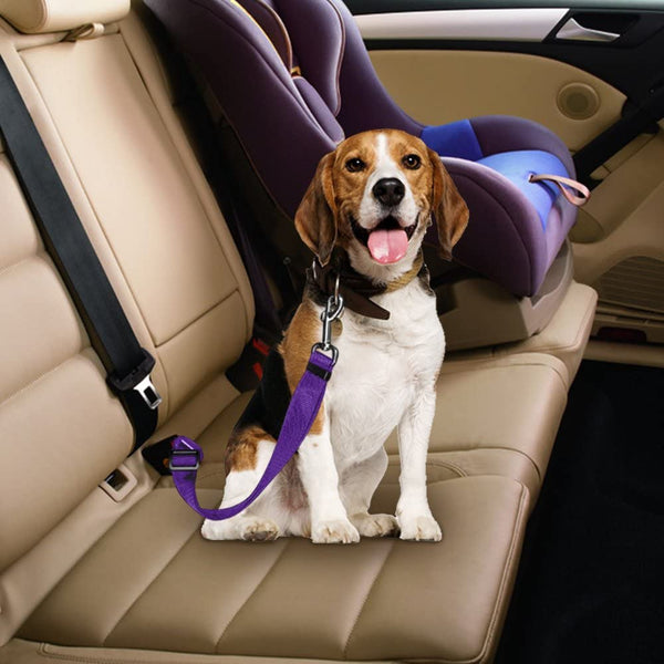 pet car seat belt