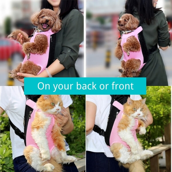 pet carrier backpack front