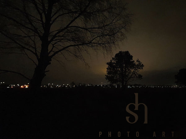 Lichter am Horizont mit Baum