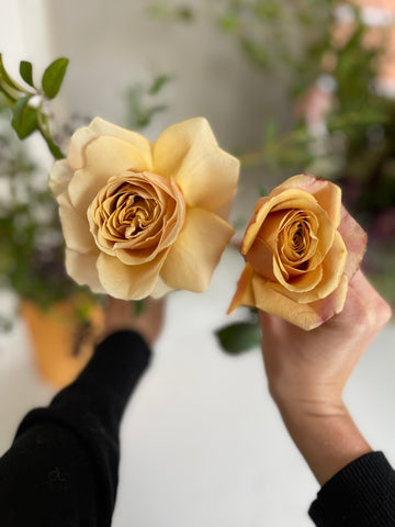 flexed v unflexed golden mustard rose