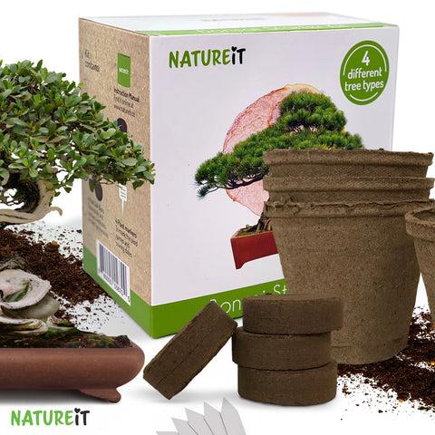 Nautreit Bonsai tree seed stater kit gift box