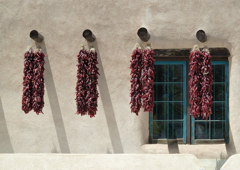 Home grown Dried Chili peppers hanged for drying