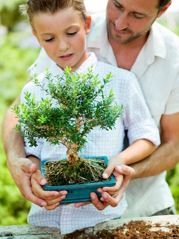 Father and son holding a bonsai tree