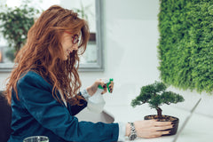 woman watering a bonsai tree in the office with a water mister