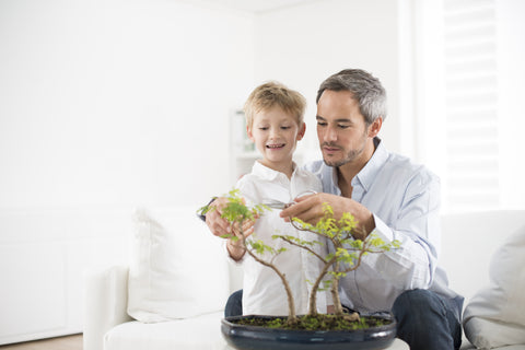 Man and child shaping a bonsai tree