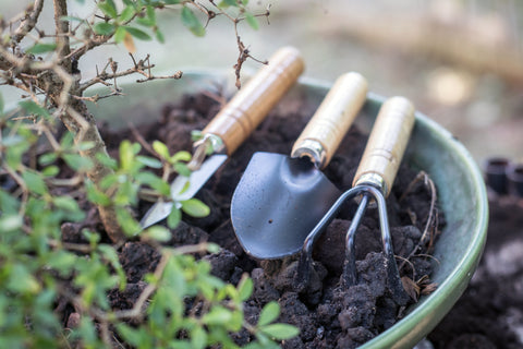 Bonsai gardening tools shovel root rake