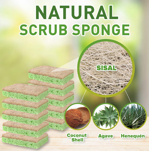 Natural plant Based Scrub