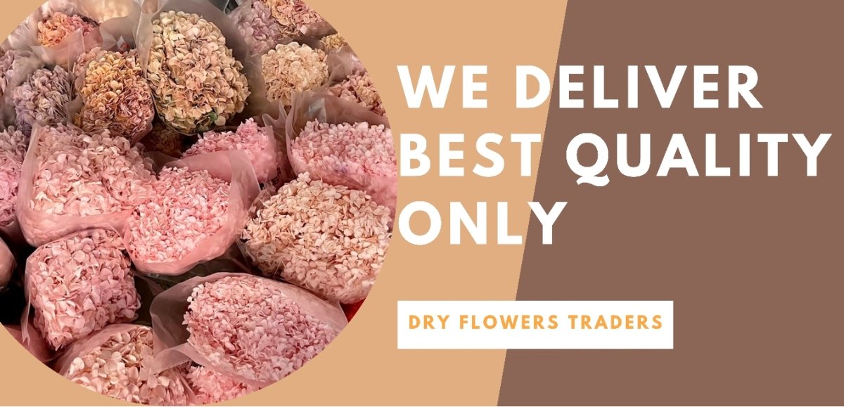 Best quality dried flowers