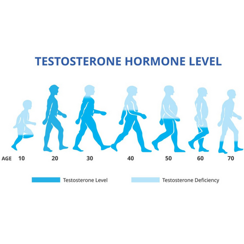 testosterone and age