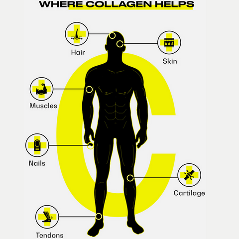 where collagen helps