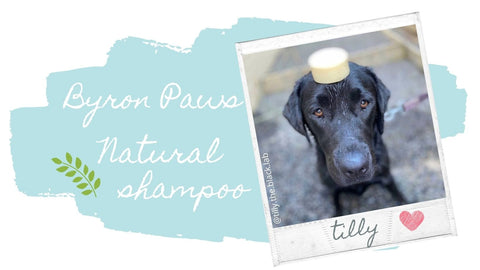 Byron Paws Dog Wash Tips Natural Shampoo