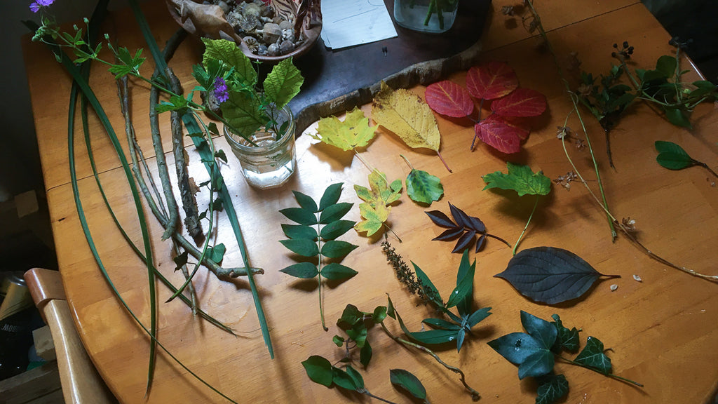 Leaves foraged from the riverside in a range of autumnal colours (these were actually used for product photography)