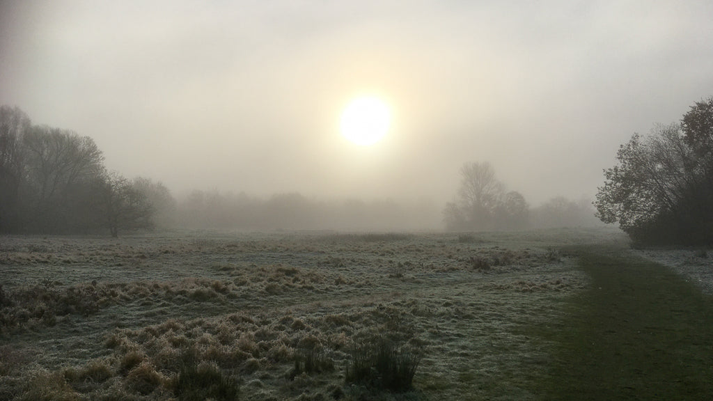 Misty morning in December 2020 in the field opposite our residential car park at April Island