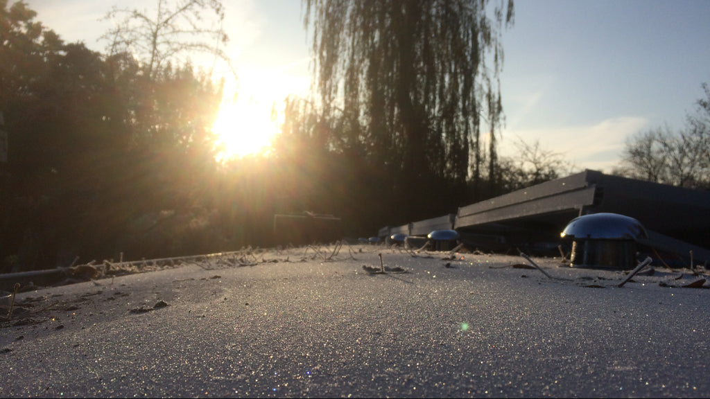A cold morning view from the boat roof with crystals of frost, and a fresh yellow sun rising behind a willow tree