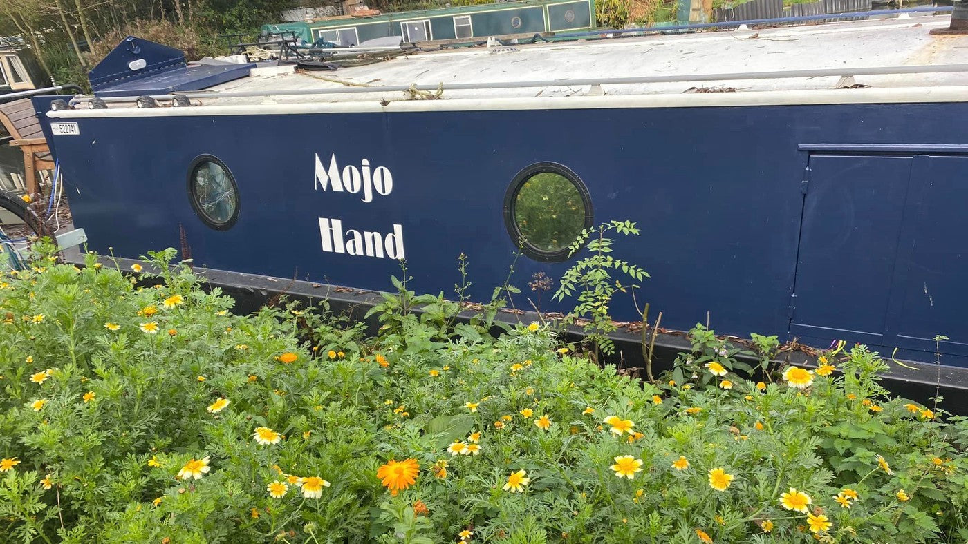 Faye's boat Mojo Hand with its dark blue and white paint work, flowers in front on the bank