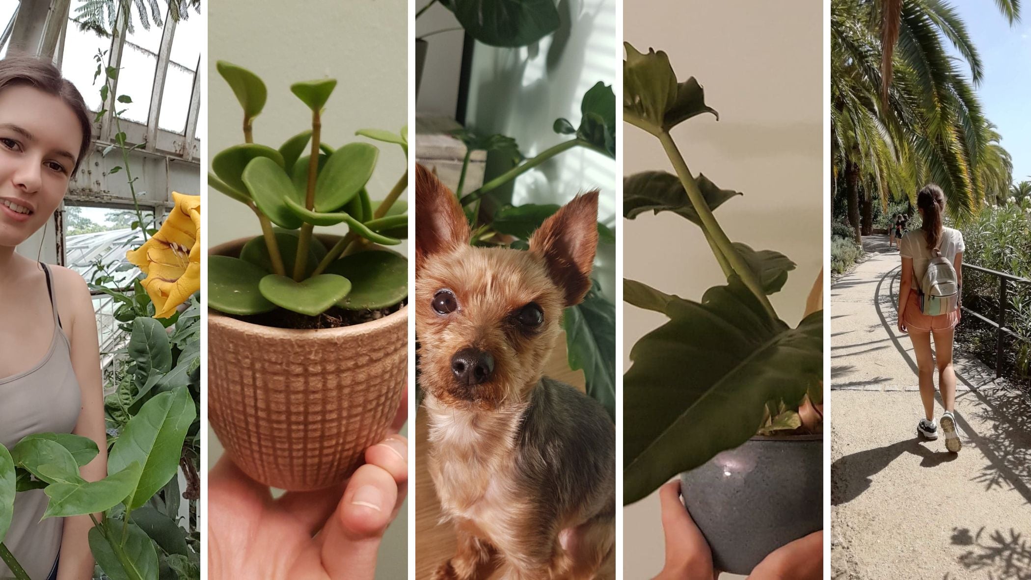 Five photos: Julia with tropical yellow flower, one of her pot plants, Adi her dog, another pot plant, and walking down a plant lined path on holiday