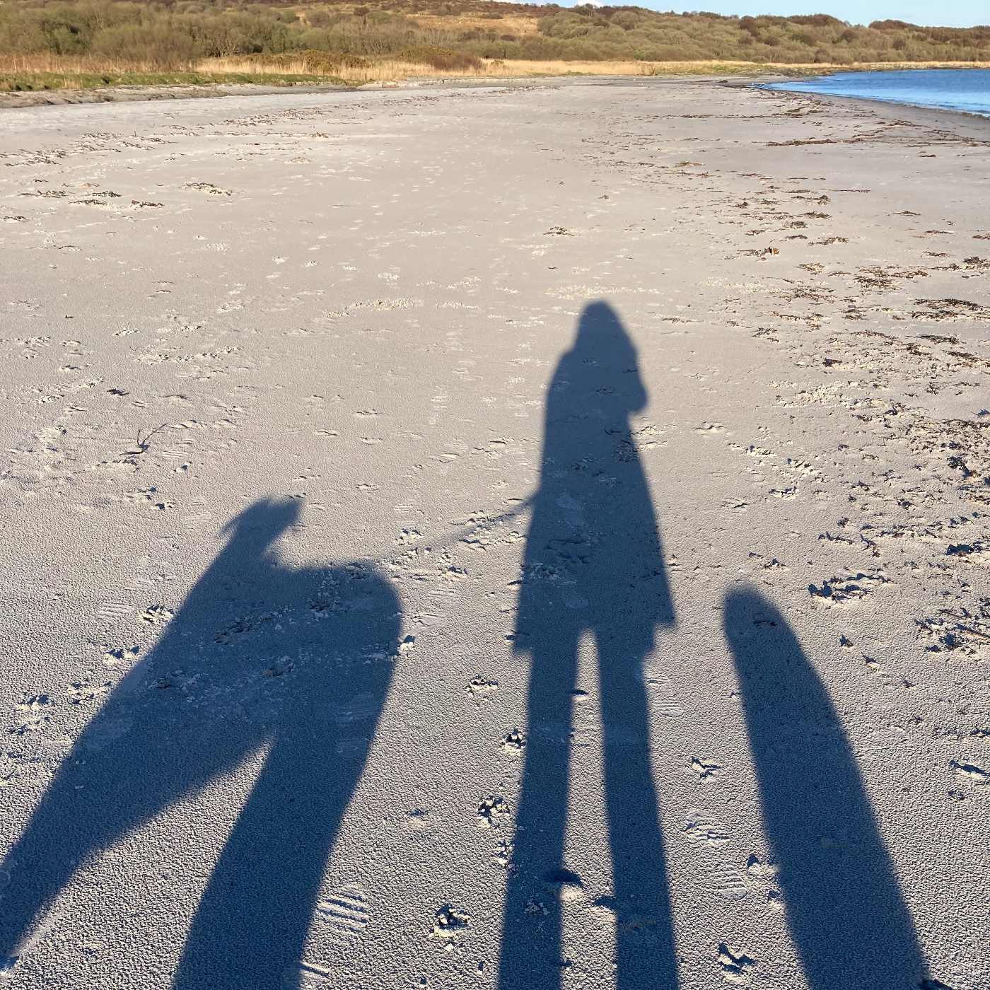 Slow beach walk with silhouette of shadow-hounds on sun-flooded sand