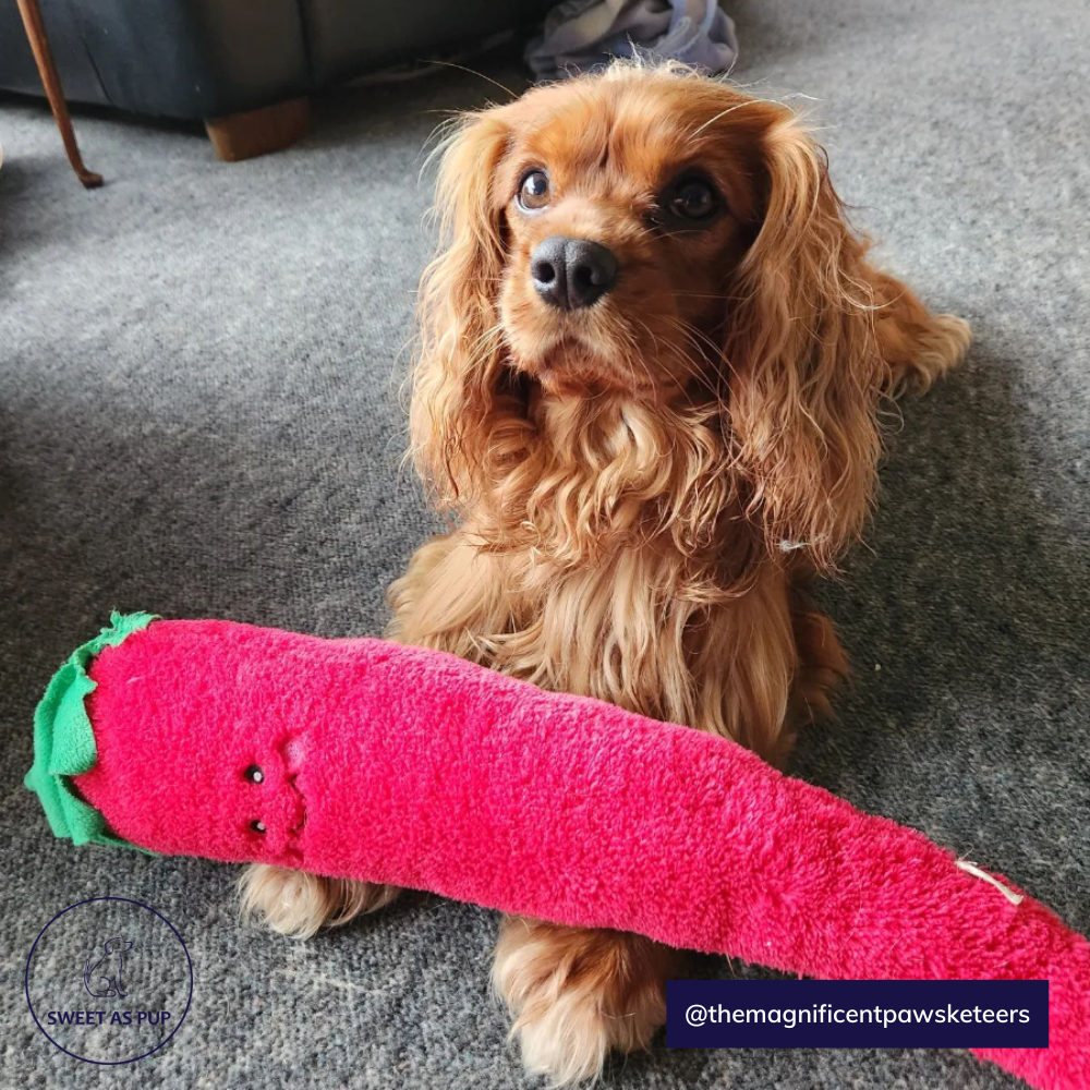 ZippyPaws Jigglerz® Veggie Dog Toy - Pepper