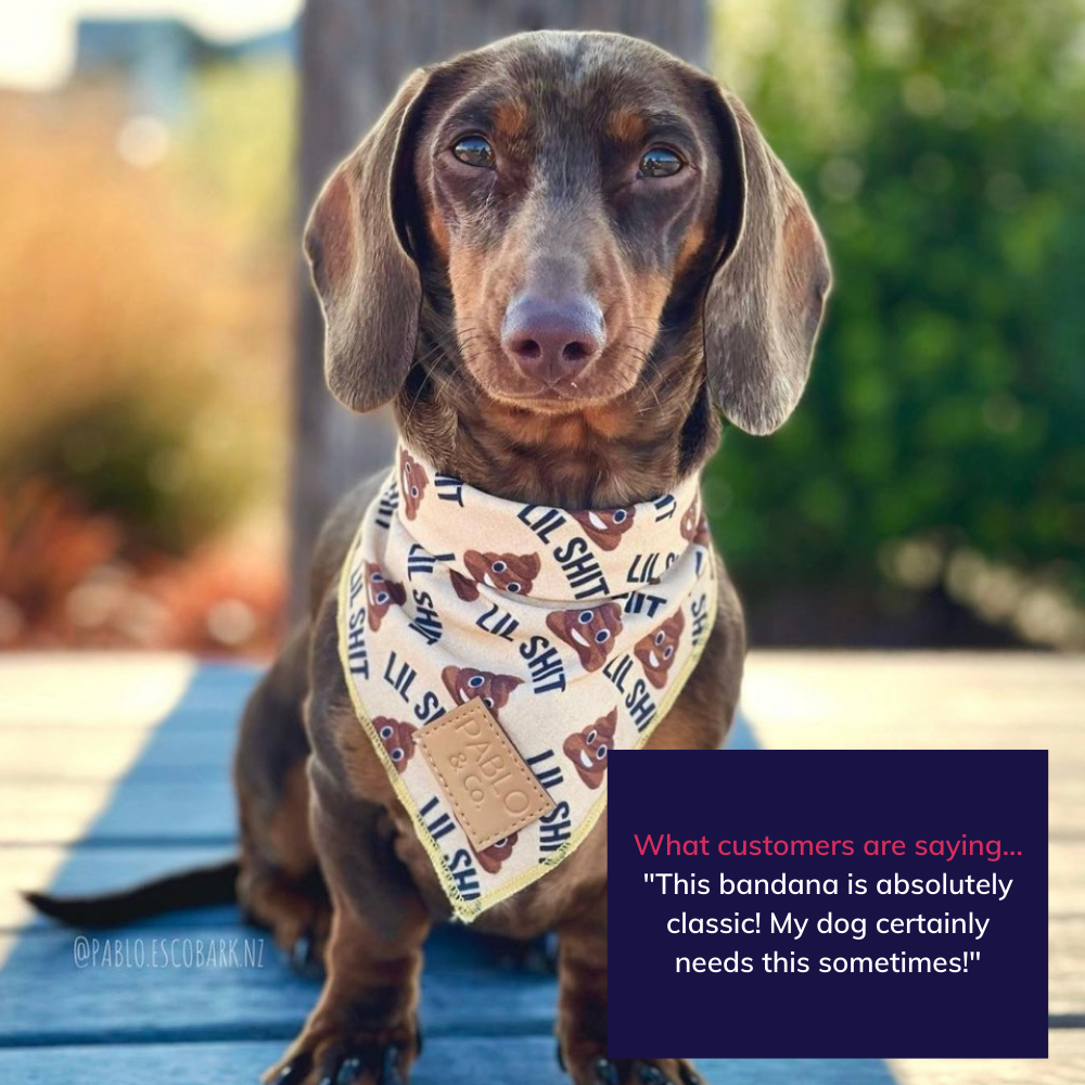 Boston Red Sox Dog Bandana, Personalized with your Pup's Name