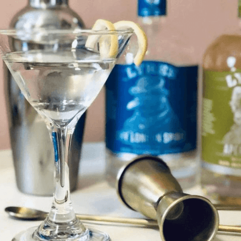 Non-Alcoholic Gin Martini Recipe