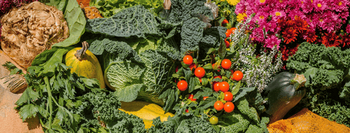 Immunsystem stärken mt Ernährung