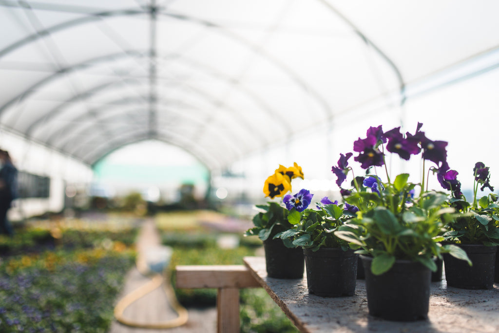 Jardinerie