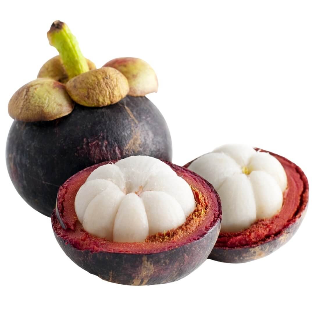 can dogs eat mangosteen fruit